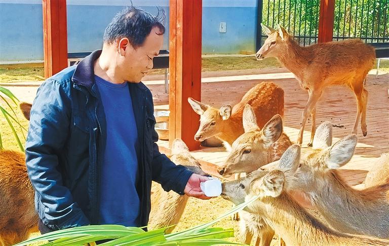 量发展产业调研】林下生金不朽情缘游戏平台【高质(图2)